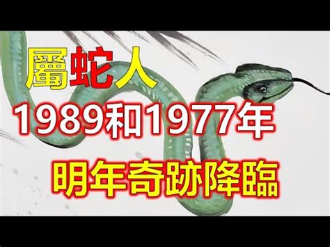 1989年是什麼年